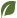 vegetarian single leaf